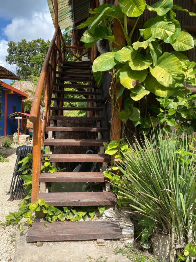 Апартаменти Malinche Cafe In Coba Tulum Екстер'єр фото