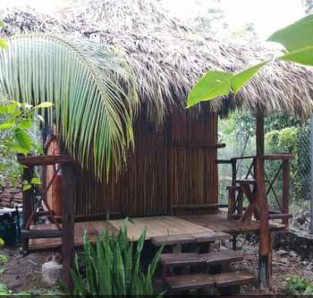 Апартаменти Malinche Cafe In Coba Tulum Номер фото